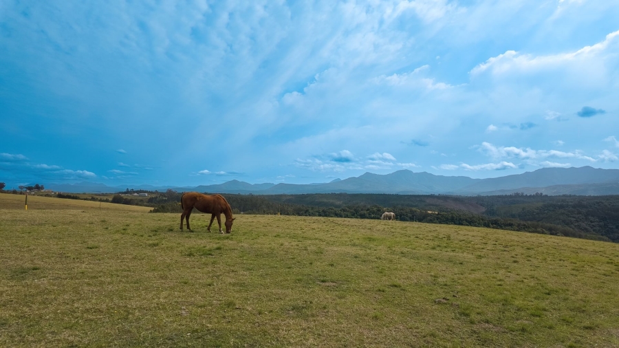 Commercial Property for Sale in Sedgefield Rural Western Cape